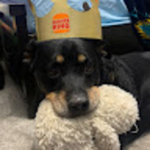 Meet your Posher, Hunter